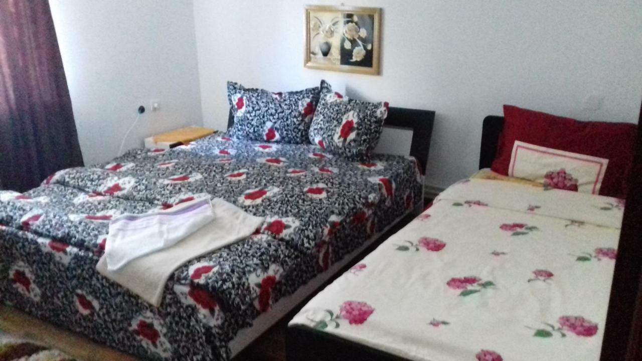 Casa Leonardo Hotel Hateg Luaran gambar